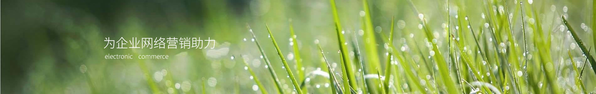 ½пƽ޹˾